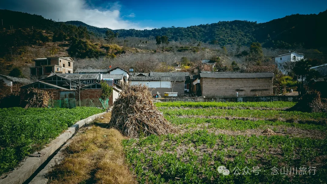 大理巍山金沙坪村:紫金山下,坐看云海夕阳的宁静村庄 - 第23张