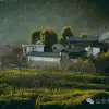 大理巍山金沙坪村:紫金山下,坐看雲海夕陽的寧靜村莊