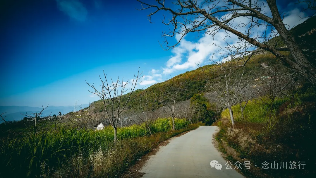 大理巍山金沙坪村:紫金山下,坐看云海夕阳的宁静村庄 - 第7张