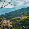 Huoshan Village, Ma'anshan, Weishan, Dali: Enjoy a Pig-Killing Feast and Revisit This Oil-Painting-Like Village