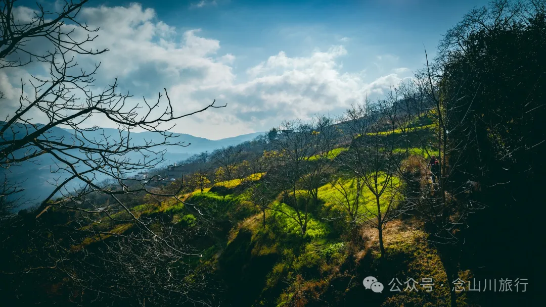 大理巍山馬鞍山火山村:吃一頓殺豬飯,再次走進這個油畫般的村莊 - 第2張