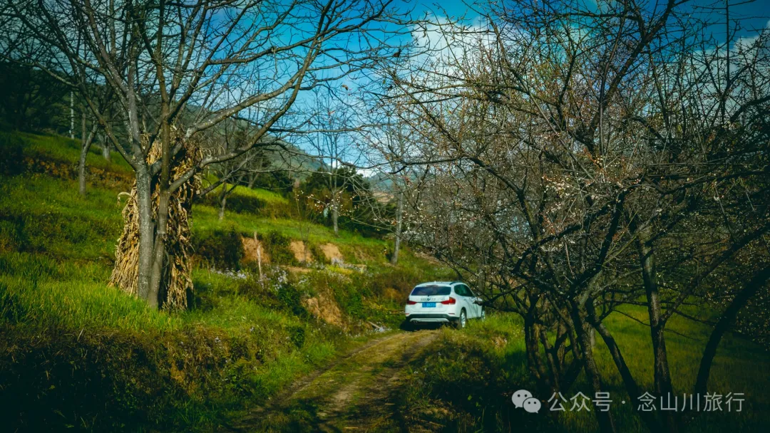 大理巍山馬鞍山火山村:吃一頓殺豬飯,再次走進這個油畫般的村莊 - 第26張