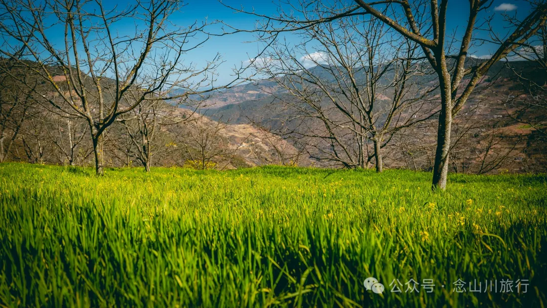 大理巍山馬鞍山火山村:吃一頓殺豬飯,再次走進這個油畫般的村莊 - 第9張