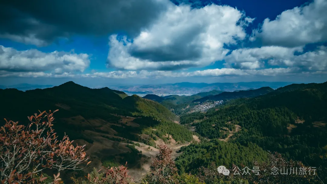 大理巍山鸟道雄关:冬季不下雪,那么就去森林里赏一场松针雪吧 - 第23张