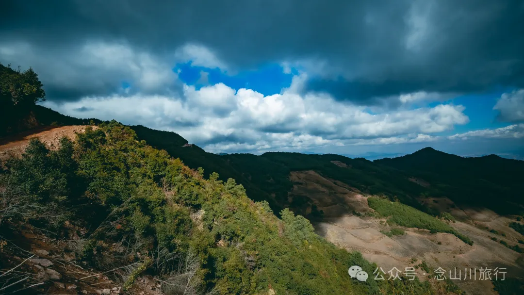 大理巍山鸟道雄关:冬季不下雪,那么就去森林里赏一场松针雪吧 - 第24张