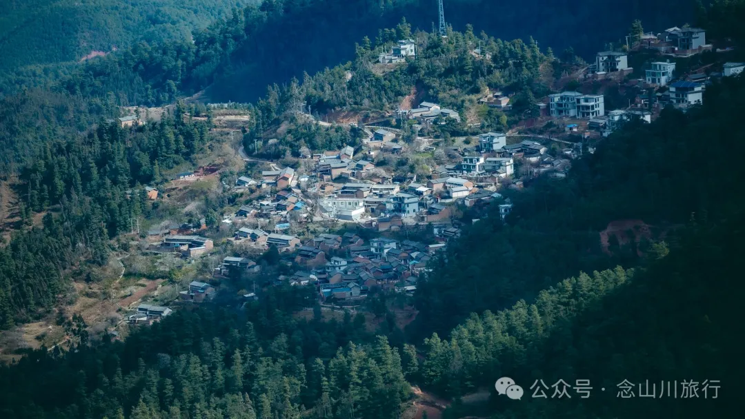 大理巍山鸟道雄关:冬季不下雪,那么就去森林里赏一场松针雪吧 - 第25张