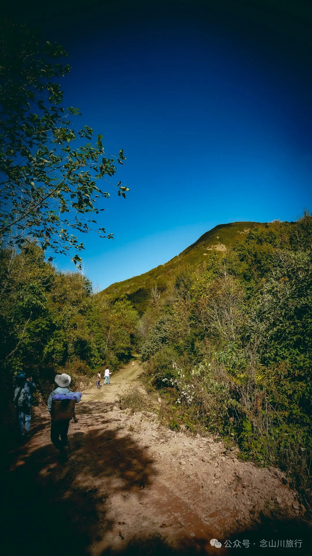 15 Kilometers, 6 Hours: Hiking to the Summit of Mount Zijin, the Highest Peak in Weishan, Dali, and Enjoying the Beauty of Ten Thousand Rivers - Image 12