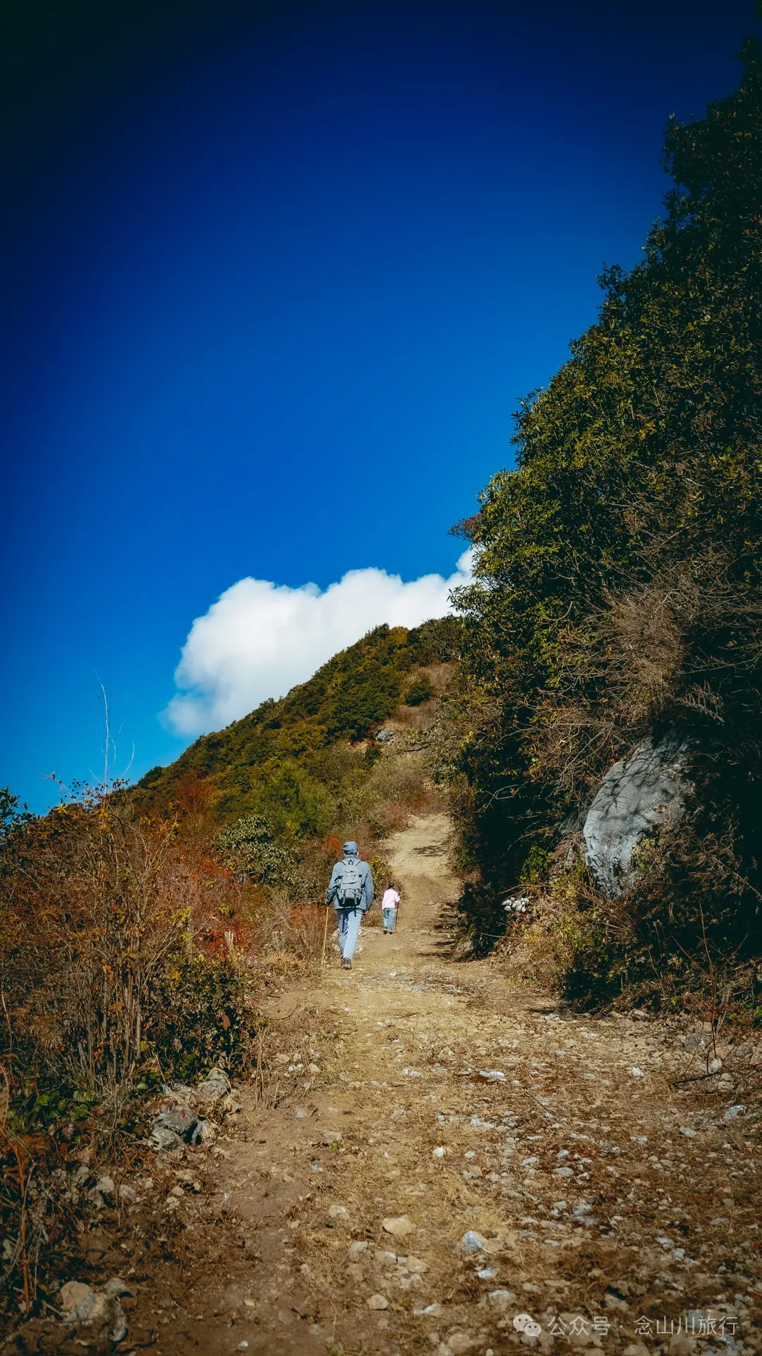 15 Kilometers, 6 Hours: Hiking to the Summit of Mount Zijin, the Highest Peak in Weishan, Dali, and Enjoying the Beauty of Ten Thousand Rivers - Image 14