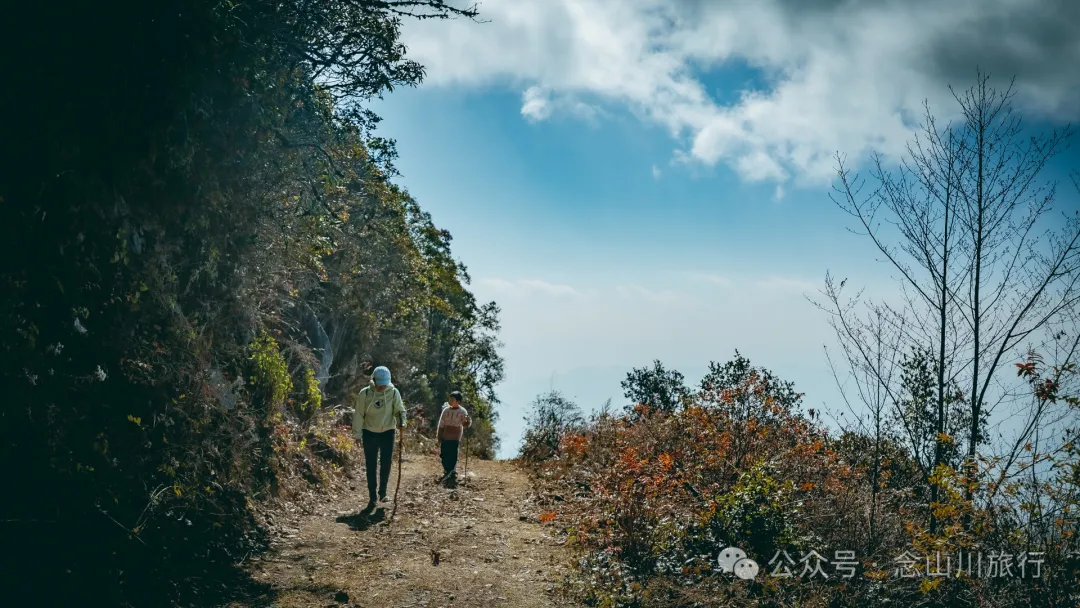 15 Kilometers, 6 Hours: Hiking to the Summit of Mount Zijin, the Highest Peak in Weishan, Dali, and Enjoying the Beauty of Ten Thousand Rivers - Image 16