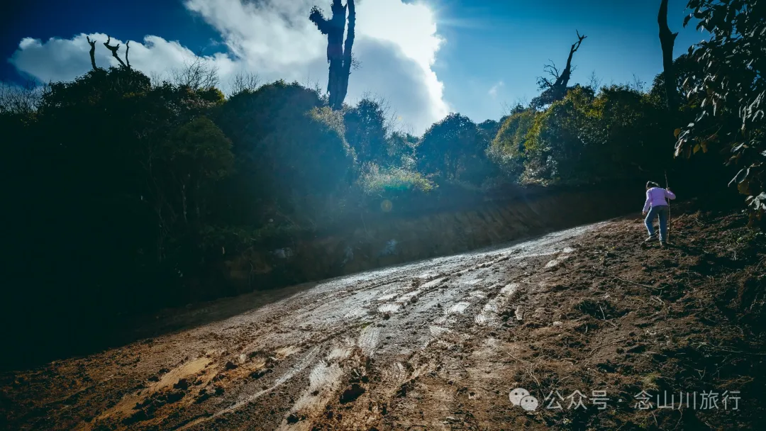 15 Kilometers, 6 Hours: Hiking to the Summit of Mount Zijin, the Highest Peak in Weishan, Dali, and Enjoying the Beauty of Ten Thousand Rivers - Image 17