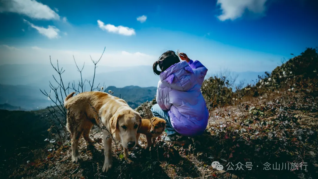 15 Kilometers, 6 Hours: Hiking to the Summit of Mount Zijin, the Highest Peak in Weishan, Dali, and Enjoying the Beauty of Ten Thousand Rivers - Image 20