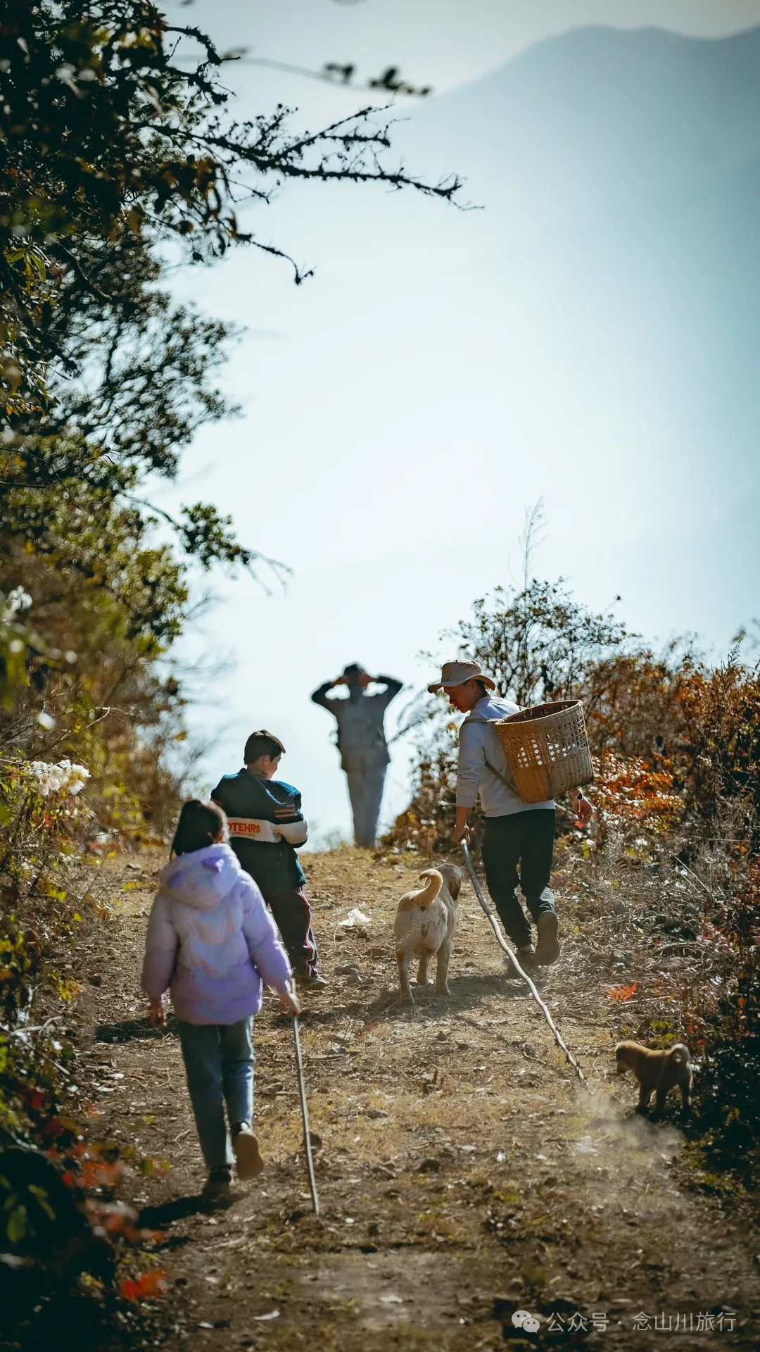 15 Kilometers, 6 Hours: Hiking to the Summit of Mount Zijin, the Highest Peak in Weishan, Dali, and Enjoying the Beauty of Ten Thousand Rivers - Image 33