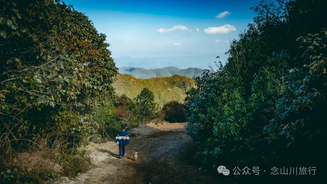 15 Kilometers, 6 Hours: Hiking to the Summit of Mount Zijin, the Highest Peak in Weishan, Dali, and Enjoying the Beauty of Ten Thousand Rivers - Image 35