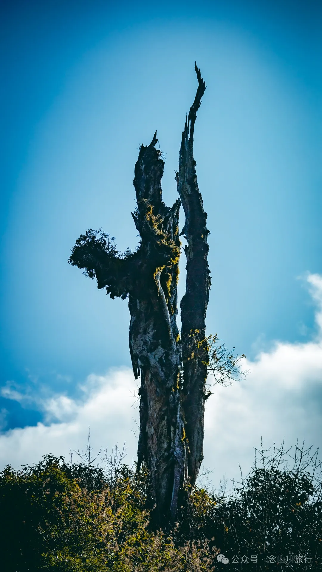 15 Kilometers, 6 Hours: Hiking to the Summit of Mount Zijin, the Highest Peak in Weishan, Dali, and Enjoying the Beauty of Ten Thousand Rivers - Image 38