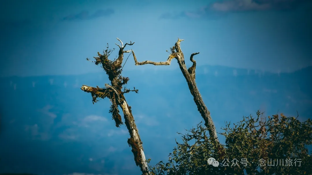 15 Kilometers, 6 Hours: Hiking to the Summit of Mount Zijin, the Highest Peak in Weishan, Dali, and Enjoying the Beauty of Ten Thousand Rivers - Image 39