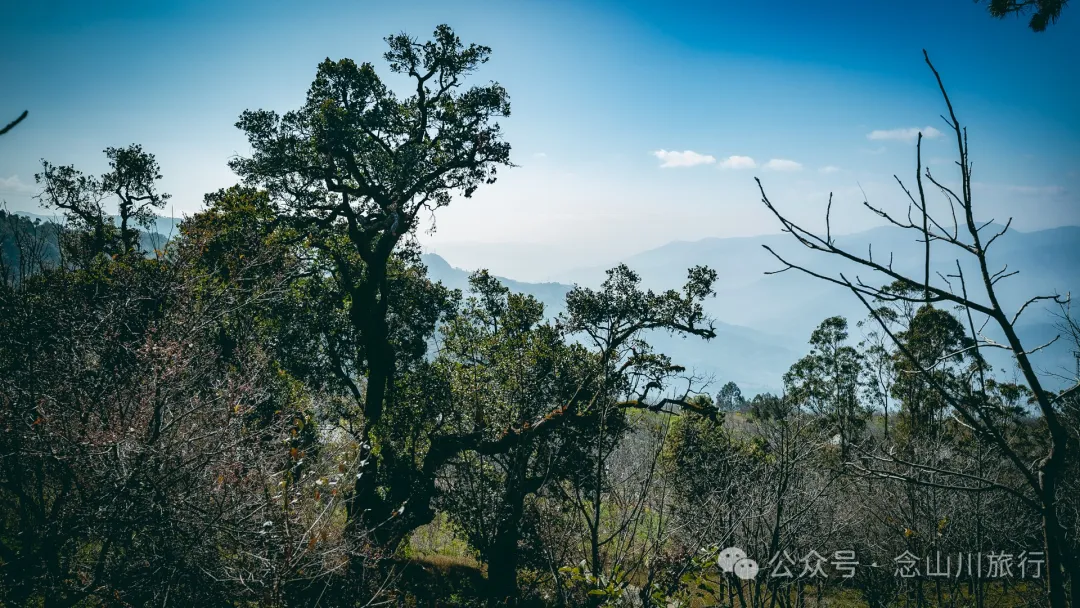 15 Kilometers, 6 Hours: Hiking to the Summit of Mount Zijin, the Highest Peak in Weishan, Dali, and Enjoying the Beauty of Ten Thousand Rivers - Image 7