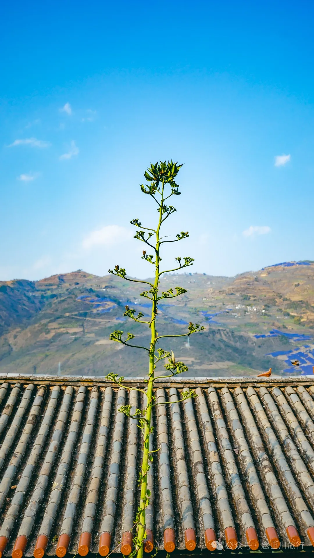 大理巍山馬鞍山鄉打比麼村：公路上的俯瞰，遇見山間最美的畫卷 - 第18张
