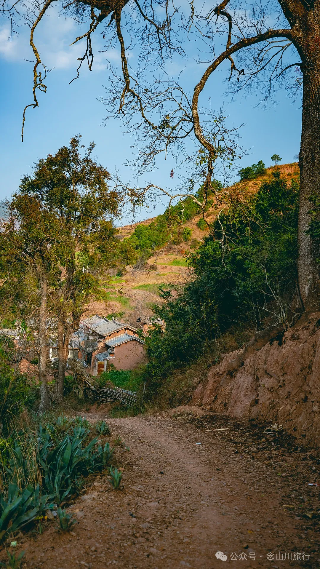 Henan Village in Ma’anshan Township, Weishan, Dali: A Lemon Tree Village Perched High in the Mountains, Watching the Waijiao River Flow into the Heihui River - Image 21