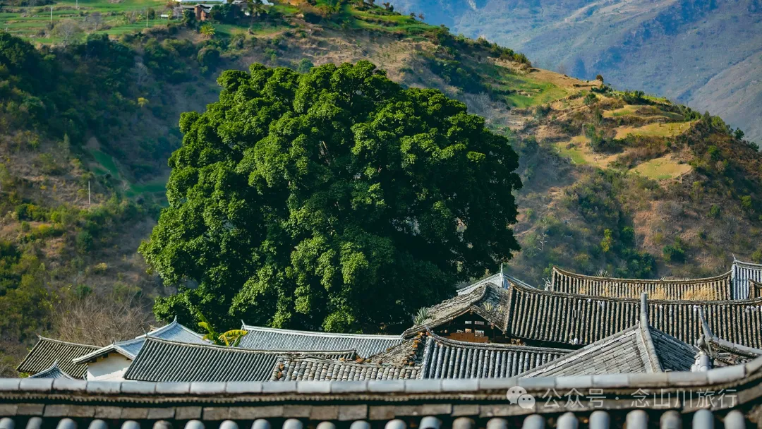 大理巍山牛鹿塘村：比遠方更遠的村莊，比想像更美的歸處 - 第19張