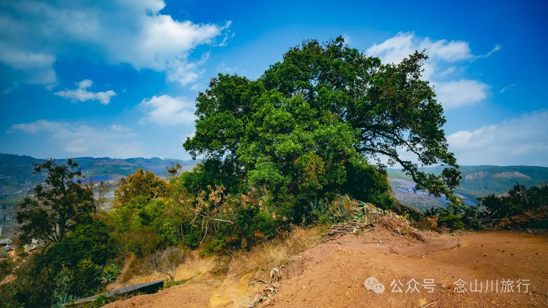 大理巍山牛鹿塘村：比遠方更遠的村莊，比想像更美的歸處 - 第25張