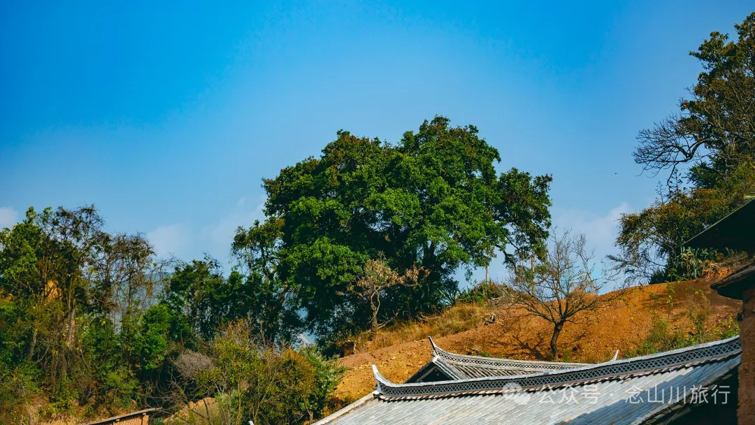 大理巍山牛鹿塘村：比遠方更遠的村莊，比想像更美的歸處 - 第26張