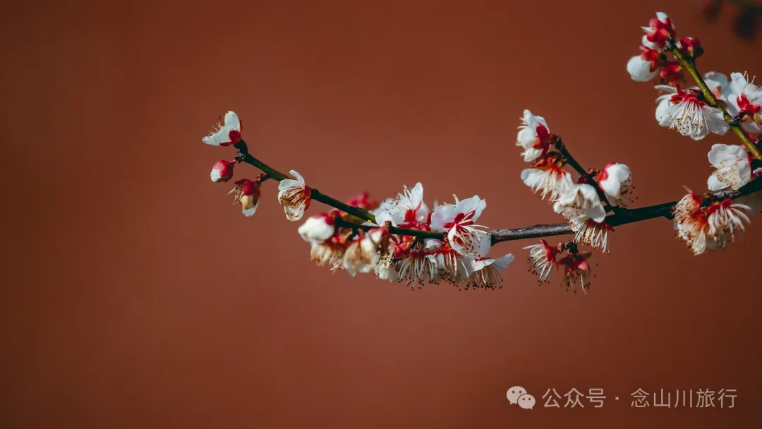 大理巍山牛鹿塘村：比遠方更遠的村莊，比想像更美的歸處 - 第30張
