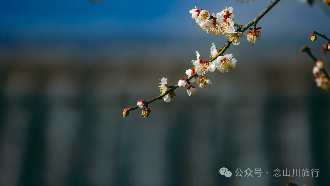 大理巍山牛鹿塘村：比遠方更遠的村莊，比想像更美的歸處 - 第31張