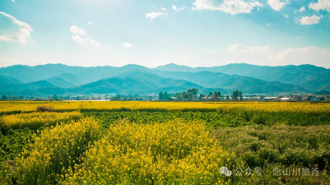 Dali Weishan Miao Street Town: Ten Thousand Mu of Rapeseed Flower Sea, Encounter the Most Romantic Spring - Image 1