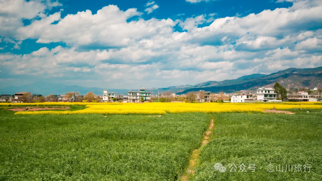 Dali Weishan Miao Street Town: Ten Thousand Mu of Rapeseed Flower Sea, Encounter the Most Romantic Spring - Image 10