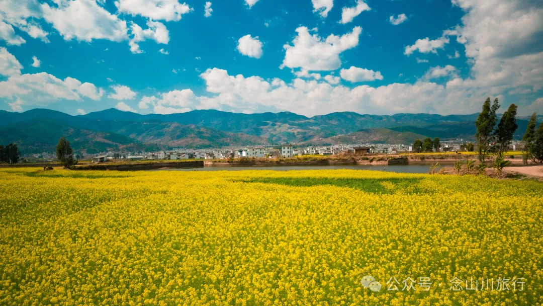 Dali Weishan Miao Street Town: Ten Thousand Mu of Rapeseed Flower Sea, Encounter the Most Romantic Spring - Image 13