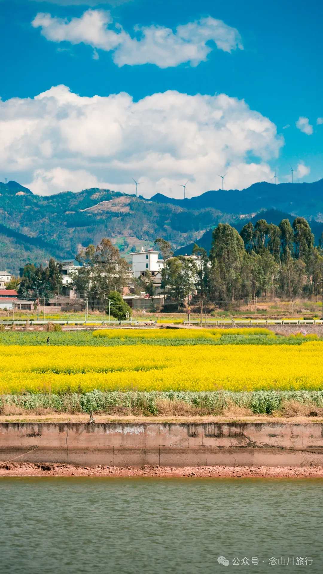 Dali Weishan Miao Street Town: Ten Thousand Mu of Rapeseed Flower Sea, Encounter the Most Romantic Spring - Image 15