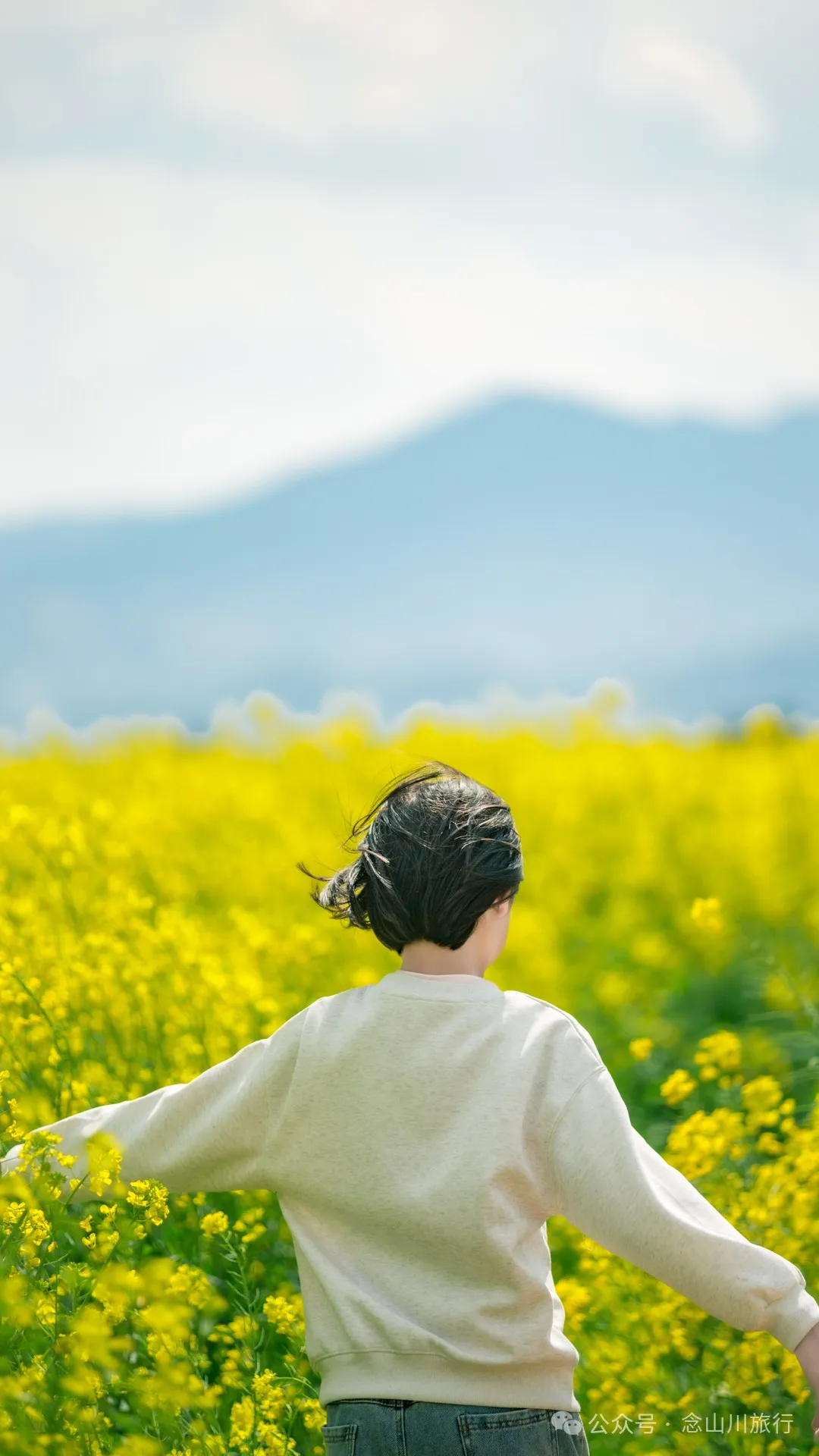 Dali Weishan Miao Street Town: Ten Thousand Mu of Rapeseed Flower Sea, Encounter the Most Romantic Spring - Image 17
