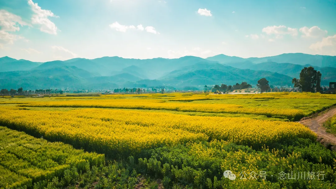 Dali Weishan Miao Street Town: Ten Thousand Mu of Rapeseed Flower Sea, Encounter the Most Romantic Spring - Image 4