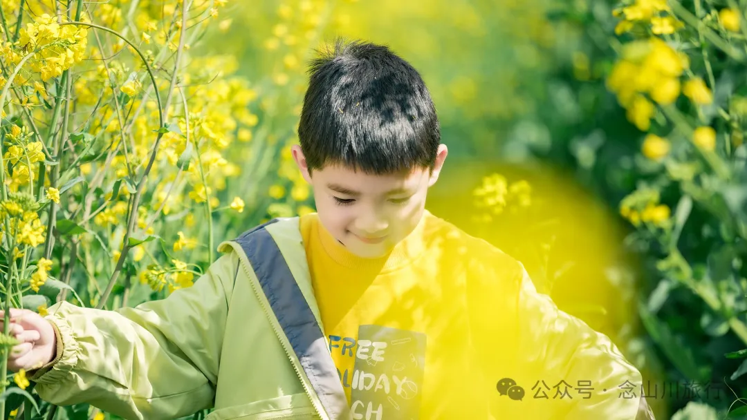 Dali Weishan Miao Street Town: Ten Thousand Mu of Rapeseed Flower Sea, Encounter the Most Romantic Spring - Image 7