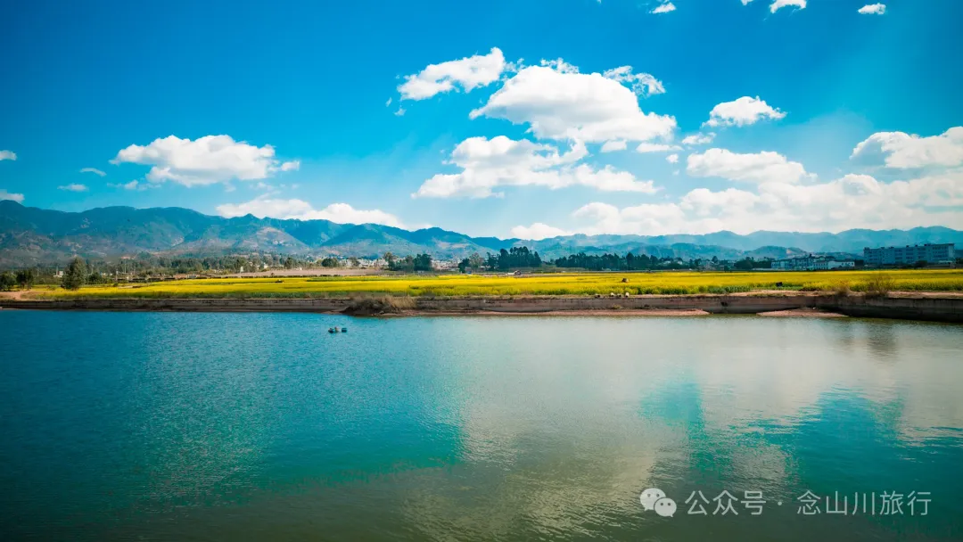 Dali Weishan Miao Street Town: Ten Thousand Mu of Rapeseed Flower Sea, Encounter the Most Romantic Spring - Image 8