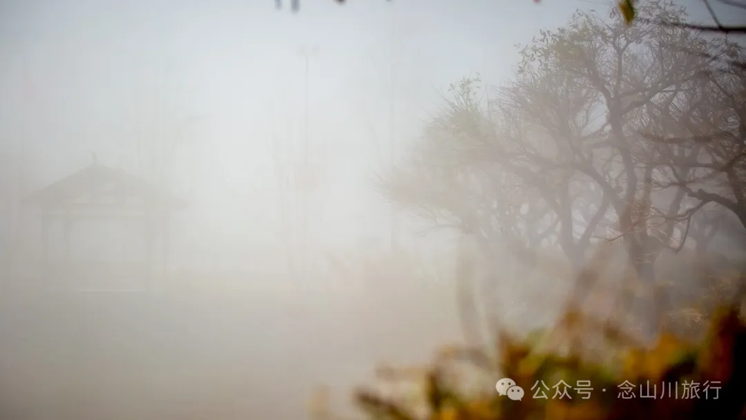 Cloud Sea Wonder in Dali Weishan Basin: Misty Mengshe River, Lively Fengchuan Tower - Image 23