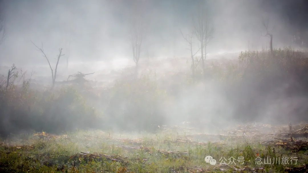 Cloud Sea Wonder in Dali Weishan Basin: Misty Mengshe River, Lively Fengchuan Tower - Image 25