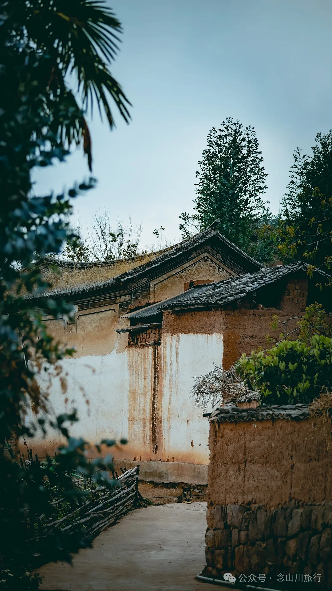 大理巍山安乐梯村:春天里的村庄藏着的明丽而与美好 - 第27张
