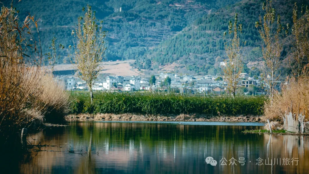 追风而行，荡舟而歌，跟着船夫去寻找洱源西湖藏在芦苇荡里的生命活力 - 第10张