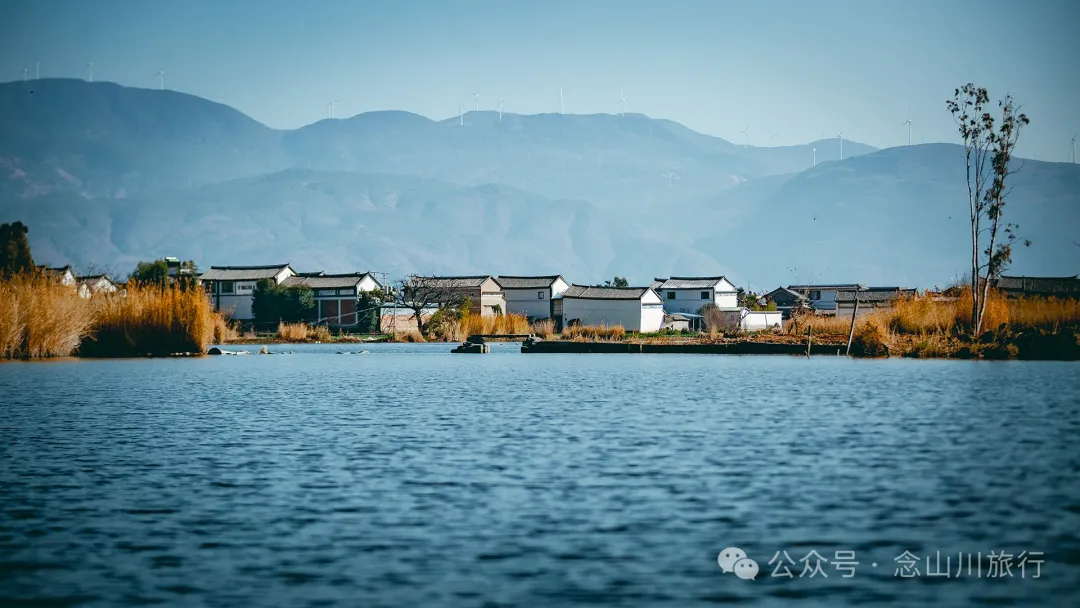 追风而行，荡舟而歌，跟着船夫去寻找洱源西湖藏在芦苇荡里的生命活力 - 第15张