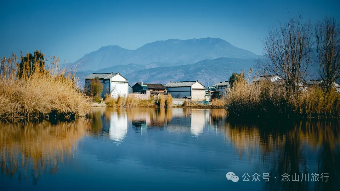 追风而行，荡舟而歌，跟着船夫去寻找洱源西湖藏在芦苇荡里的生命活力 - 第18张