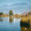 追风而行,荡舟而歌,跟着船夫去寻找洱源西湖藏在芦苇荡里的生命活力