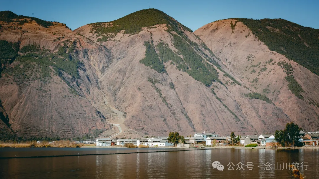 追风而行，荡舟而歌，跟着船夫去寻找洱源西湖藏在芦苇荡里的生命活力 - 第8张
