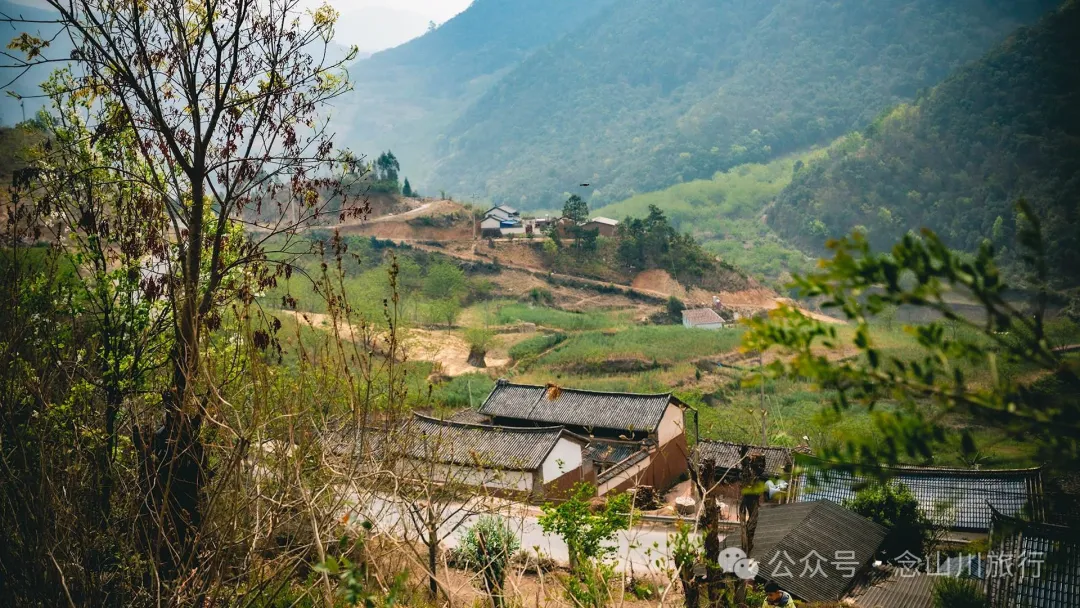 大理巍山五印鄉麻櫟樹村：一樹梨花一鄉愁 - 第10張