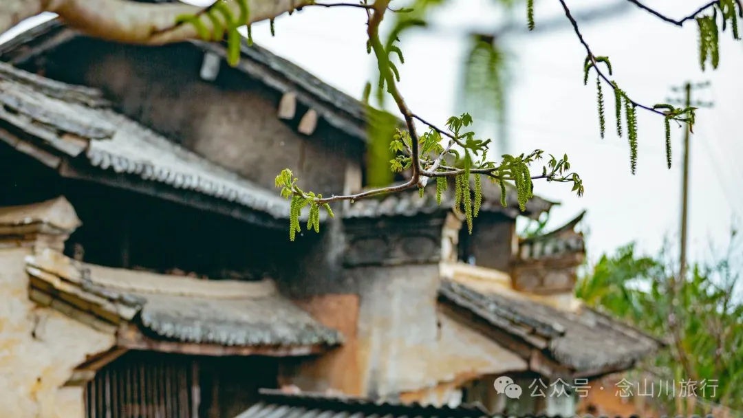 大理巍山牛街乡小密习村:黑惠江畔的柠檬香境,一首写在远方的诗 - 第2张