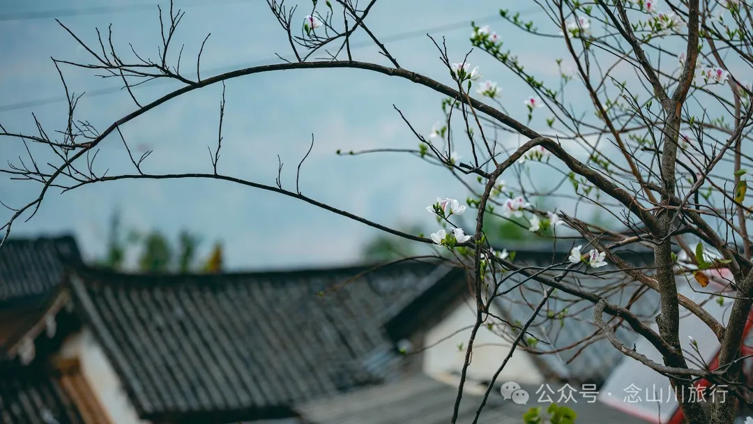 大理巍山牛街乡小密习村:黑惠江畔的柠檬香境,一首写在远方的诗 - 第21张