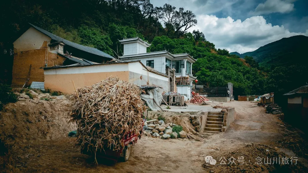 大理巍山五印乡白乃村:绿树掩映,红花点缀,小鸡足山脚下的村庄 - 第15张