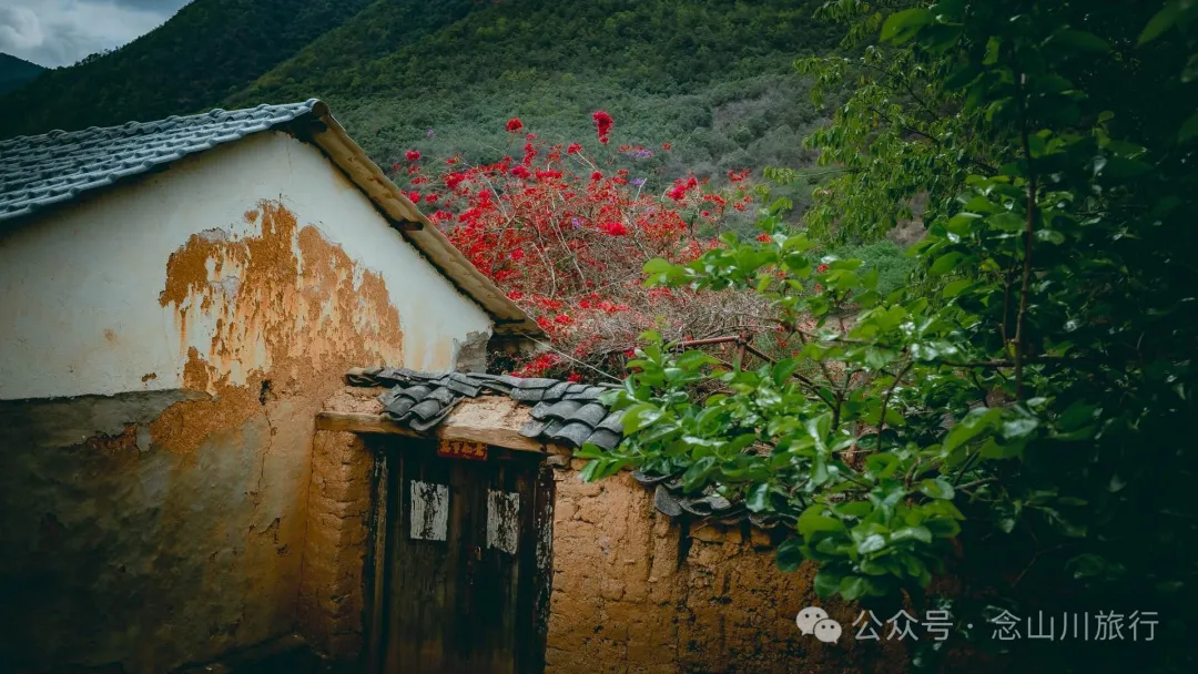 大理巍山五印乡白乃村:绿树掩映,红花点缀,小鸡足山脚下的村庄 - 第17张