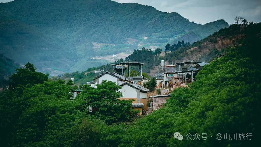大理巍山五印乡白乃村:绿树掩映,红花点缀,小鸡足山脚下的村庄 - 第4张