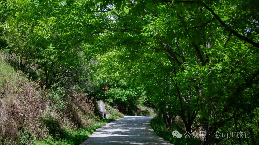 大理巍山五印乡白乃村:绿树掩映,红花点缀,小鸡足山脚下的村庄 - 第6张